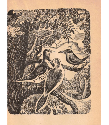 Les contes de Poindi, Jean Mariotti, 1941 -, Nouvelle-Calédonie, Canaques, contes populaires,