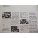 L'âge d'or du baroque, N°2 La grande musique, Mondadori, 1983 - musiciens, musique, encyclopédie