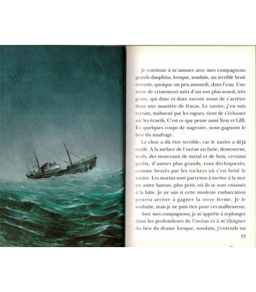 Sliss le dauphin, Carnet de bord, Pierre Baldurinos, 1997 -, livres éducatifs jeunesse, animaux marins,