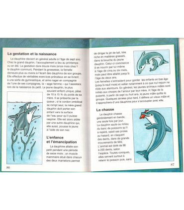 Sliss le dauphin, Carnet de bord, Pierre Baldurinos, 1997 -, livres éducatifs jeunesse, animaux marins,