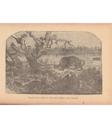 Bruin ou les chasseurs d'ours, Capitaine Mayne-Reid, 1922- Russie, animaux sauvages, aventures jeunesse, Rose illustrée,