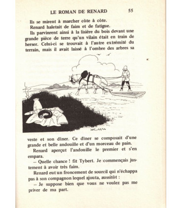 Le Roman de Renard, Gisèle Vallerey, 1982 -, contes, Littérature Moyen Age, littérature jeunesse, ,