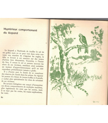 Les lois de la brousse, contes naturalistes, Marc Micha, 1958 -,  Afrique, Congo belge, animaux sauvages, contes populaires,