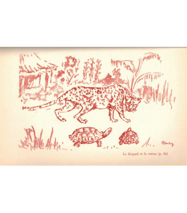 Les lois de la brousse, contes naturalistes, Marc Micha, 1958 -,  Afrique, Congo belge, animaux sauvages, contes populaires,