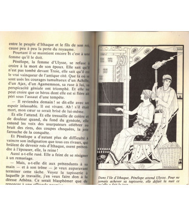 Contes et récits tirés de l'Iliade et l'Odyssée, G. Chandon, 1990 -, Homère, Grèce antique, auteurs classiques grecs,