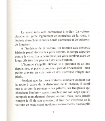 La vie est brève et le désir sans fin, Patrick Lapeyre, 2010 -