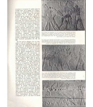 Châteaux de Belgique, Napoléon Bonaparte, Modigliani, Egypte antique, architectes,- Le Jardin des arts n°43 mai 1958 -,