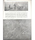Fresques préhistoriques Sahara, peintre mexicain Diego Rivera, Palais de l'Elysée,  - Le Jardin des arts n°39 jan 1958,