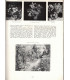 Tapisseries 1958, Renoir, abbayes Catalogne, Watteau , - Jardin des arts n°46 août 1958 -