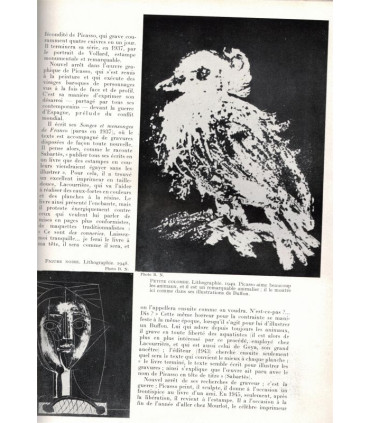 Flacons parfums, Compostelle, Rubens, Jumièges, Picasso, Modigliani, châteaux Normandie, - Jardin des arts n°10 août 1955 -