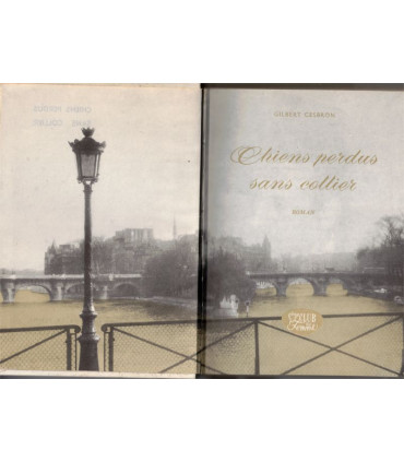 Chiens perdus sans collier, Gilbert Cesbron, 1961 - Juge pour enfants, enfance délinquante, Club de la femme,