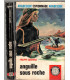 Anguille sous roche, Philippe Casanova, 1968 -, espionnage, Arabesque,  roman policier,