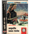 Anguille sous roche, Philippe Casanova, 1968 -, espionnage, Arabesque,  roman policier,
