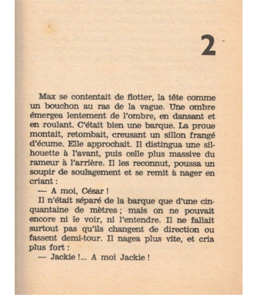 Anguille sous roche, Philippe Casanova, 1968 -, espionnage, Arabesque,  roman policier,