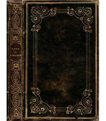 Paul et Virginie, Bernardin de Saint-Pierre, 1828 -, paradis perdu, Océan indien, roman XVIIIe siècle, roman d'amour,