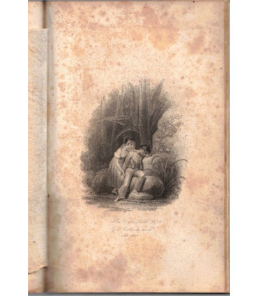 Paul et Virginie, Bernardin de Saint-Pierre, 1828 -, paradis perdu, Océan indien, roman XVIIIe siècle, roman d'amour,