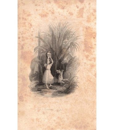 Paul et Virginie, Bernardin de Saint-Pierre, 1828 -, paradis perdu, Océan indien, roman XVIIIe siècle, roman d'amour,