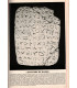 Navette spatiale française, informatique 1975, archéologie Glozel, Science et Vie N°745 octobre 1979 - revues scientifiques,