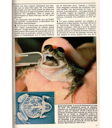 Hydrolab plongée sous-marine, microinformatique 1980, grenouille, moteurs nucléaires espace , - Science et Vie N°798 mars 1984 -