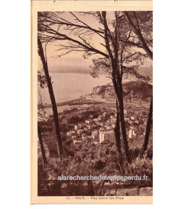 Nice, vue entre les pins - série carnet Nice A la Riviera, carte postale 06 Alpes-Maritimes,