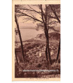 Nice, vue entre les pins - série carnet Nice A la Riviera, carte postale 06 Alpes-Maritimes,