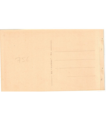 Nice, vue entre les pins - série carnet Nice A la Riviera, carte postale 06 Alpes-Maritimes,