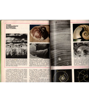 Coquille du Nautile et calendrier lunaire, informatique, Canons à protrons, automobiles,  - Science et Vie N°739 août 1979 -