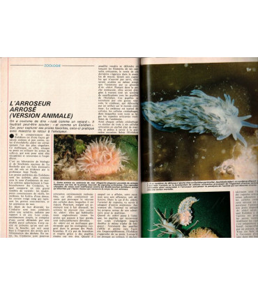 Etrange Soleil de 1980, extraterrestres, magnétoscopes 1980, produits high tech en 1980, - Science et Vie N°747 déc 1979 -