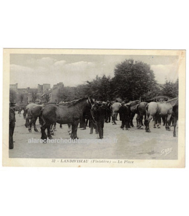 Landivisiau, la Place, marché aux chevaux - carte postale département 29 Finistère, chevaux,