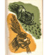 Les semailles et les moissons, T2, Henri Troyat -, collection Club du Livre Sélectionné,