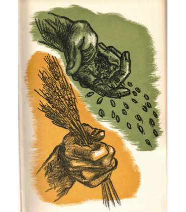 Les semailles et les moissons, T2, Henri Troyat -, collection Club du Livre Sélectionné,