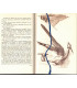 Les semailles et les moissons, Tendre et violente Elisabeth, T1, Henri Troyat -, collection Club du Livre Sélectionné,