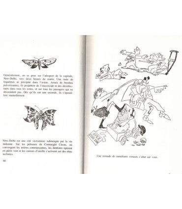 Poivre vert, l'Inde aux rayons X, Hélène Tournaire, 1972 -, Inde, collection du XXe siècle