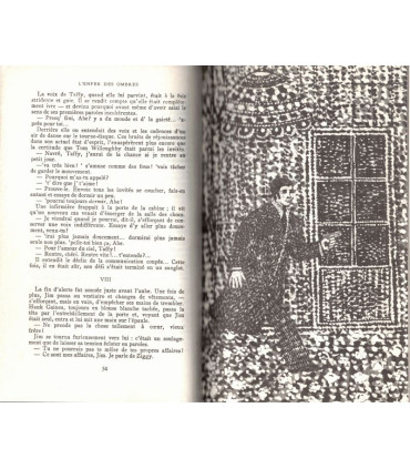 L'enfer des ombres, Frank Slaughter, 1973 -, asile de fous, médecin , Chefs-d'oeuvre de Frank Slaughter