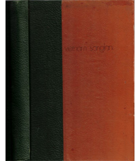 Vietnam sanglant 1967-1968, Jean Bertolino, 1968 -, guerre du Vietnam,
