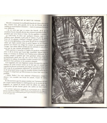 L'amour est au bout du voyage, Frank Slaughter, 1976 -, Chefs-d'oeuvre de Frank Slaughter, Amérique XVIIe siècle, conquistador,