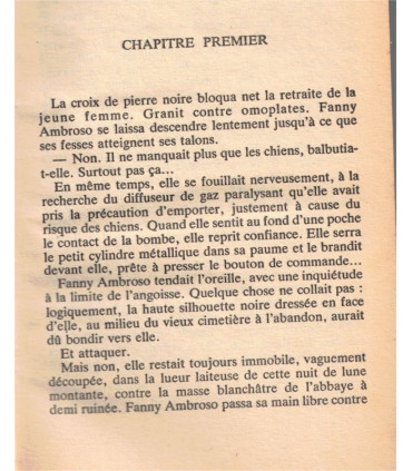 Brigade mondaine N°24, La secte des Amazones, Michel Brice, Gérard de Villiers 1979 - roman policier érotique,