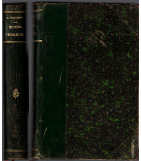 Michel Verneuil, André Theuriet, 1883 - belle reliure cuir