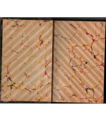 Michel Verneuil, André Theuriet, 1883 - belle reliure cuir