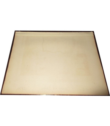 Gravure Département des Côtes du Nord 1842, Levasseur, - Côtes d'Armor, Atlas national illustré Levasseur, cartes géographiques,