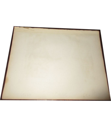 Gravure Département de l'Orne 1846 Levasseur  - département 61, Atlas national illustré Levasseur, cartes géographiques,