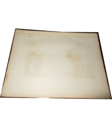 Gravure Département de la Sarthe 1846 Levasseur  - département 72, Atlas national illustré Levasseur, cartes géographiques,