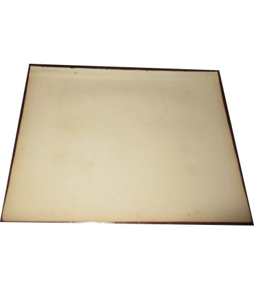 Gravure Département de l'Aude 1846 Levasseur  - département 11, Atlas national illustré Levasseur, cartes géographiques,