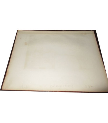 Gravure Département du Morbihan 1846 Levasseur  - département 56, Atlas national illustré Levasseur, cartes géographiques,