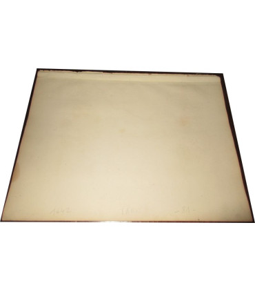 Gravure Département du Tarn 1846 Levasseur  - département 81, Atlas national illustré Levasseur, cartes géographiques,