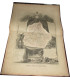 Gravure Département des Ardennes 1844, Levasseur, - Atlas national illustré Levasseur, cartes géographiques,