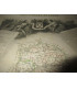 Gravure Département d'Indre et Loire 1846 Levasseur  - Atlas national illustré Levasseur, cartes géographiques,