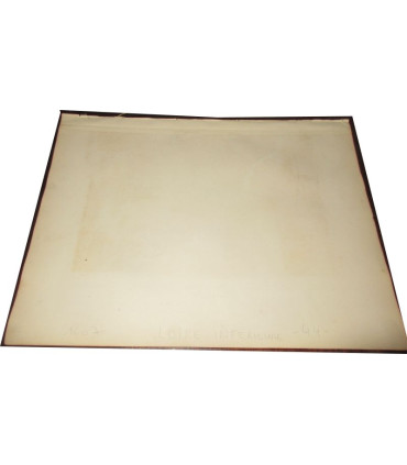 Gravure Département de la Loire Inférieure 1846 Levasseur  - Atlas national illustré Levasseur, cartes géographiques,