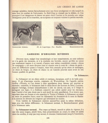 Le chien, Fernand Méry, encyclopédie canine, Larousse, 1959 - animaux familiers, chiens,