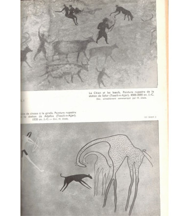 Le chien, Fernand Méry, encyclopédie canine, Larousse, 1959 - animaux familiers, chiens,